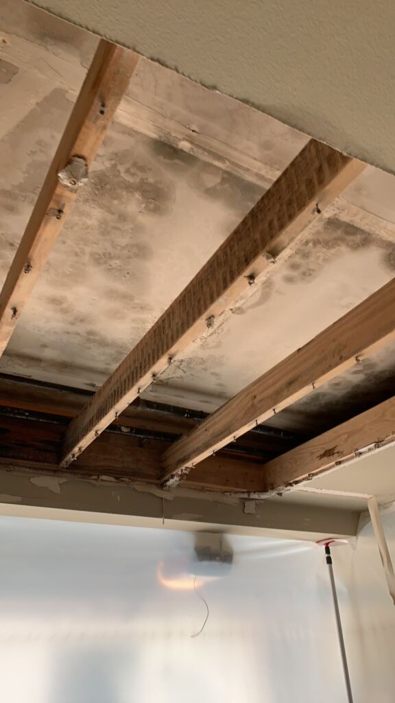 Second floor mold growth behind drywall in ceiling